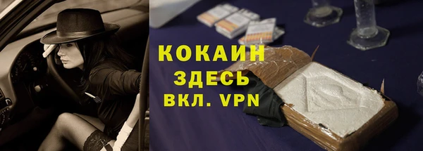spice Гусиноозёрск