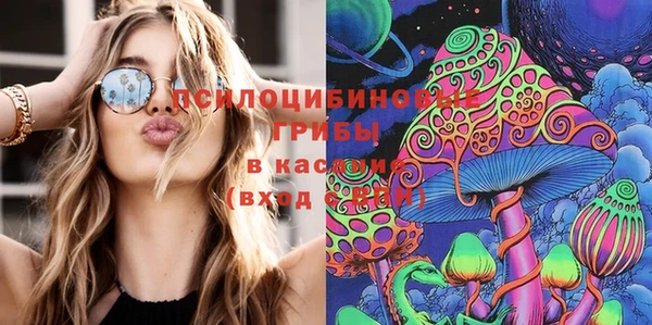 не бодяженный Гусь-Хрустальный